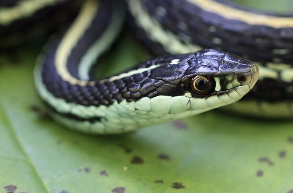 Squeezed In and Unable to Move